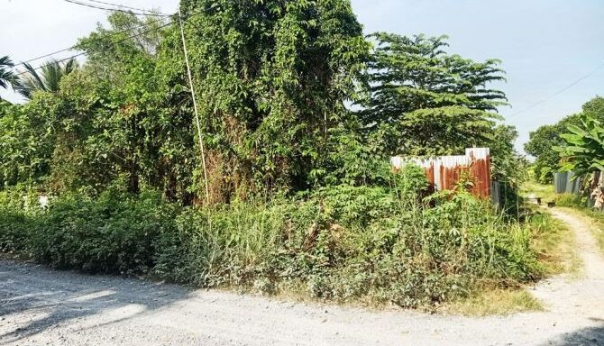 Bán đất thổ cư Xã Bình Mỹ – ảnh 2/5