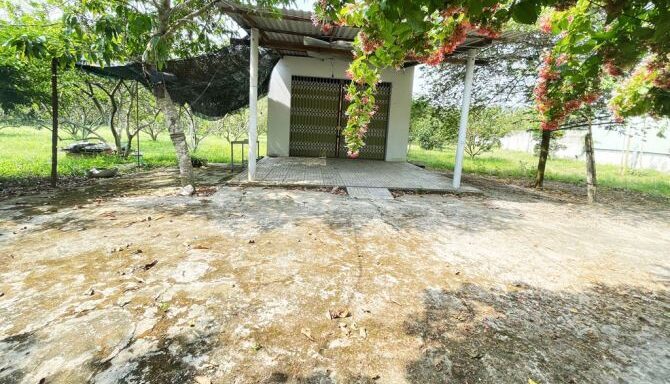 Bán đất thổ cư Xã Nhuận Đức – ảnh 4/5