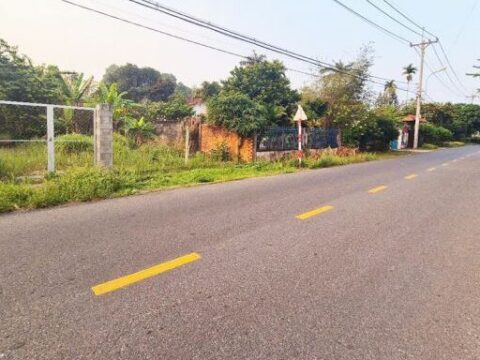 Bán đất vườn 2668m2 đường Bùi Thị Điệt, xã Phạm Văn Cội, Củ Chi