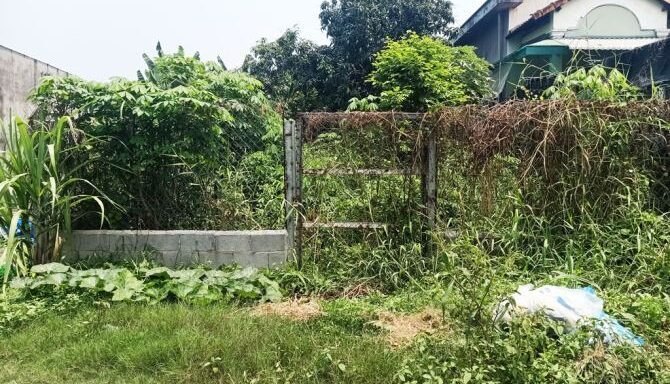 Bán đất thổ cư Xã Nhuận Đức – ảnh 1/6