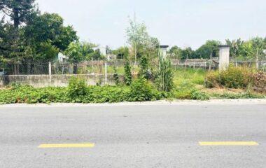 Bán đất thổ cư xã Phú Hòa Đông, Củ Chi 980m2 đường Nguyễn Thị Nê