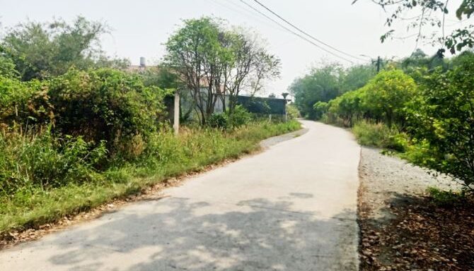 Bán đất thổ cư Xã Phú Hòa Đông – ảnh 5/6