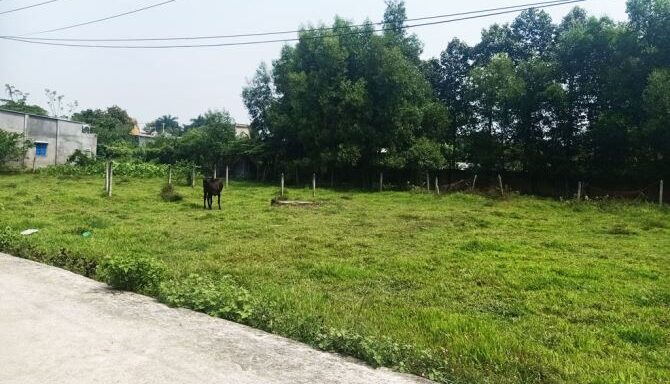 Bán đất thổ cư Xã Phú Hòa Đông – ảnh 2/5