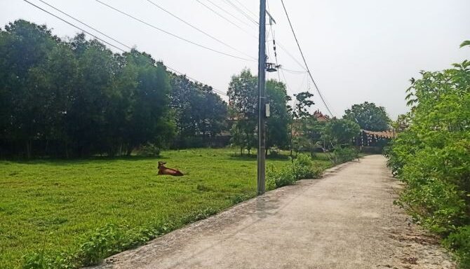 Bán đất thổ cư Xã Phú Hòa Đông – ảnh 4/5