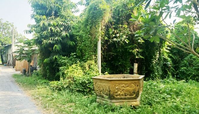 Bán đất thổ cư Xã Bình Mỹ – ảnh 1/5