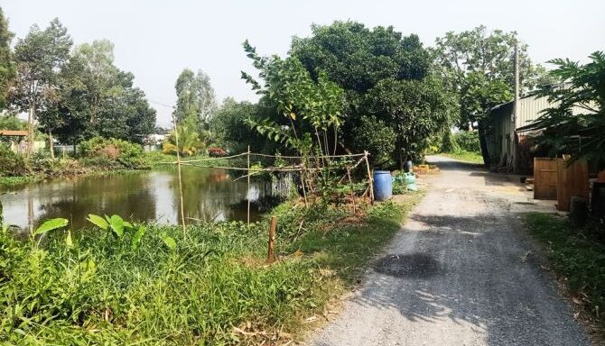 Bán đất thổ cư Xã Bình Mỹ – ảnh 2/5