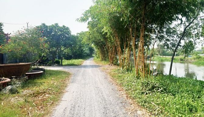 Bán đất thổ cư Xã Bình Mỹ – ảnh 3/5