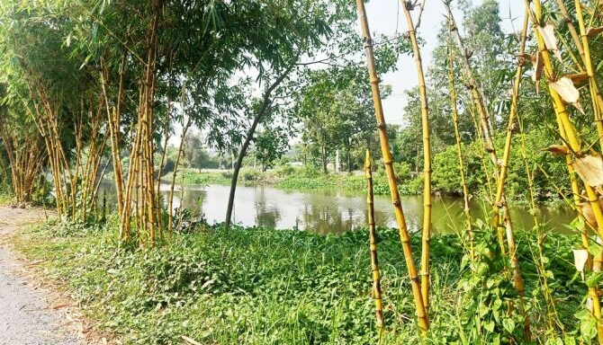 Bán đất thổ cư Xã Bình Mỹ – ảnh 4/5