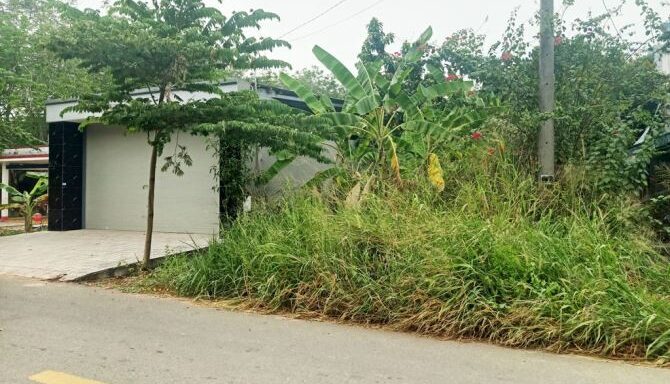 Bán đất thổ cư Xã An Nhơn Tây – ảnh 2/5