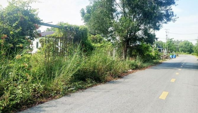 Bán đất thổ cư Xã Bình Mỹ – ảnh 1/5