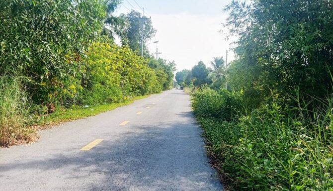 Bán đất thổ cư Xã Bình Mỹ – ảnh 2/5