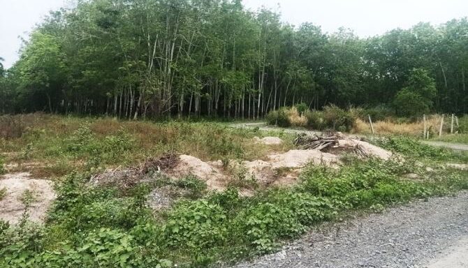 Bán đất thổ cư Xã Nhuận Đức – ảnh 1/5