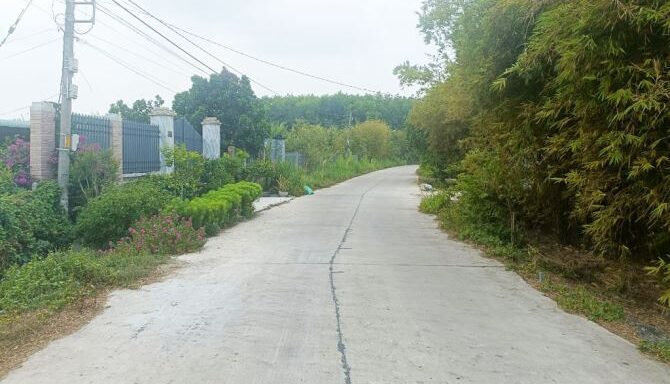 Bán nhà riêng Xã Thái Mỹ – ảnh 3/5