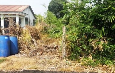 Đất đường Trần Thị Hồ – 355m2 – 8×44 – 150m2 thổ cư – xã Hòa Phú – Củ Chi