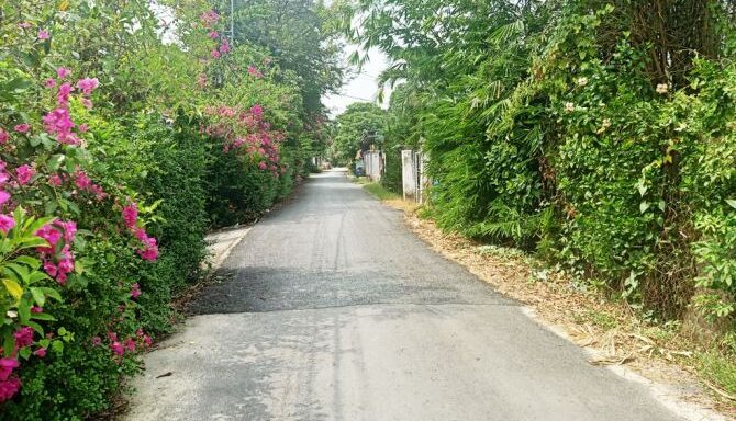 Bán đất thổ cư Xã Bình Mỹ – ảnh 4/5