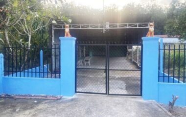 Bán nhà đường số 979E, xã Phạm Văn Cội, Củ Chi, 353m2, 6×61