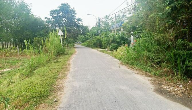 Bán đất thổ cư Xã Thái Mỹ – ảnh 3/5
