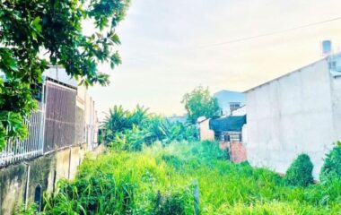 Bán đất thổ cư Tân Thạnh Đông, Củ Chi 499m2 10×50