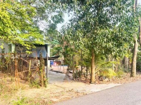 Bán nhà vườn đường 695 Thái Mỹ Củ Chi 597m2 có 300m2 thổ cư