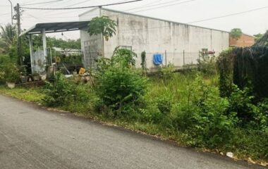 Bán đất thổ cư 263m2 xã Trung Lập Thượng, Củ Chi, 7×38