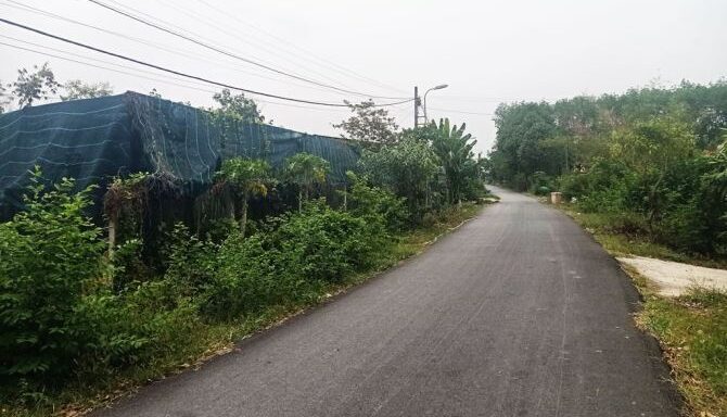 Bán đất thổ cư Xã Thái Mỹ – ảnh 2/5