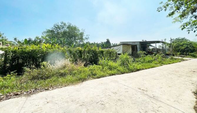 Bán đất thổ cư Xã Phú Hòa Đông – ảnh 4/5
