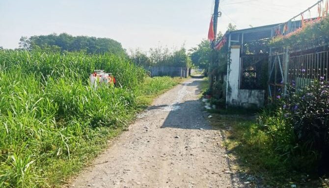 Bán đất thổ cư Xã Bình Mỹ – ảnh 2/5