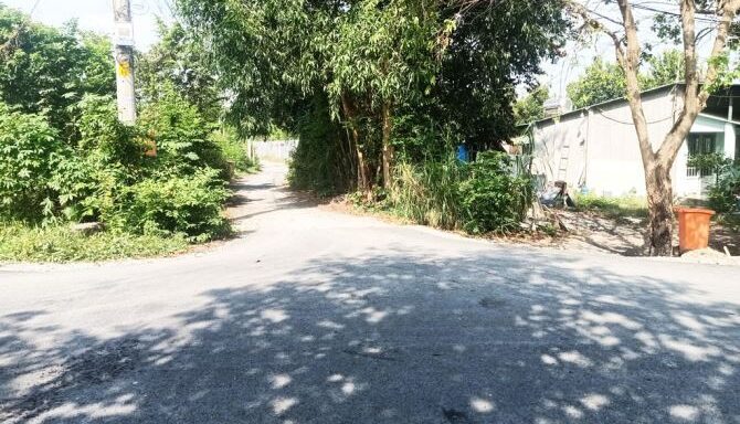 Bán đất thổ cư Xã Bình Mỹ – ảnh 4/5