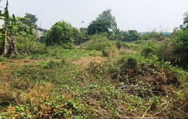 Bán đất thổ cư 188m2 xã Phú Hòa Đông, Củ Chi, hẻm 1/ Nguyễn Văn Khạ