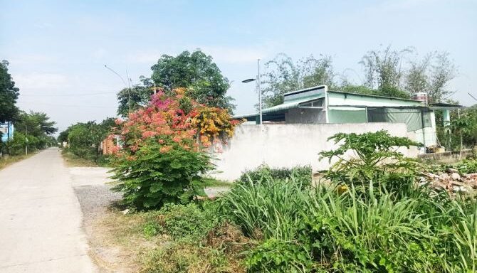 Bán đất thổ cư Xã Phú Hòa Đông – ảnh 4/5