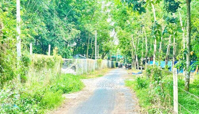 Bán đất thổ cư Xã An Nhơn Tây – ảnh 2/5