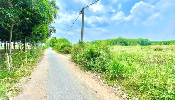 Bán đất thổ cư Xã An Nhơn Tây – ảnh 3/5