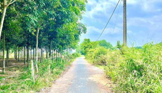 Bán đất thổ cư Xã An Nhơn Tây – ảnh 4/5