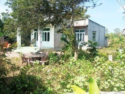 Bán nhà vườn đường 825 xã Phú Mỹ Hưng Củ Chi 1128m2