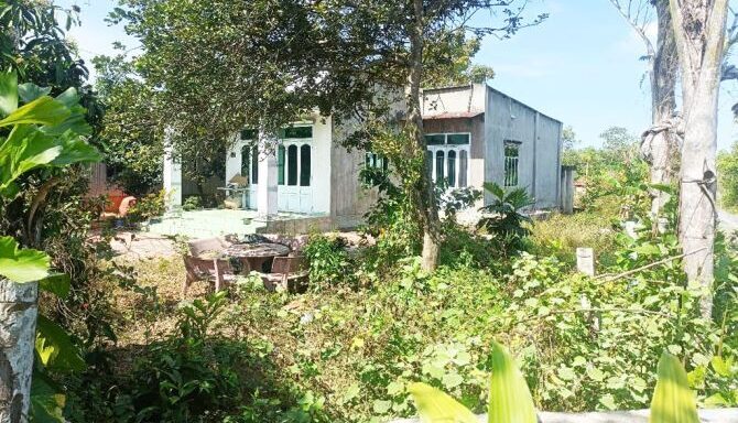 Bán nhà mặt tiền Xã An Nhơn Tây – ảnh 1/5