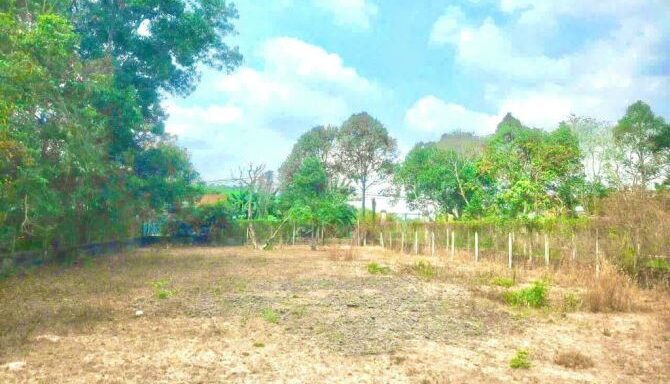 Bán đất thổ cư Xã Thái Mỹ – ảnh 2/5