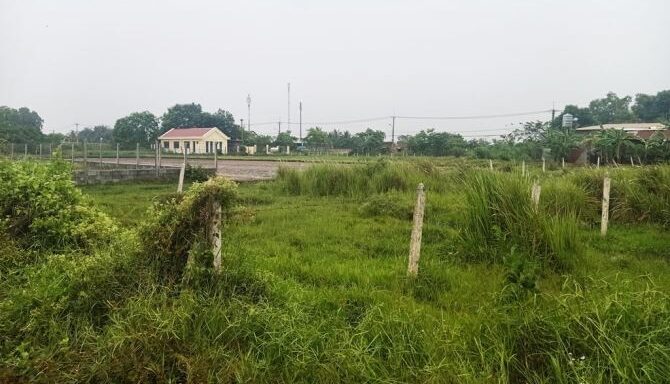 Bán đất thổ cư Xã Thái Mỹ – ảnh 3/5