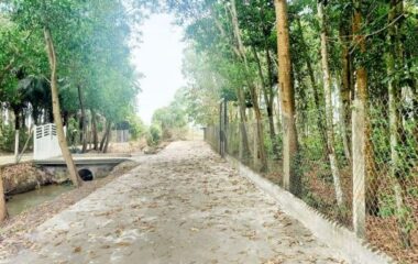 Bán đất nông nghiệp 790m2 xã Phước Thạnh Củ Chi, 1/ Võ Văn Điều