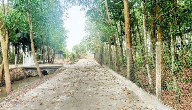 Bán đất nông nghiệp, đất vườn Xã Thái Mỹ – ảnh 1/5