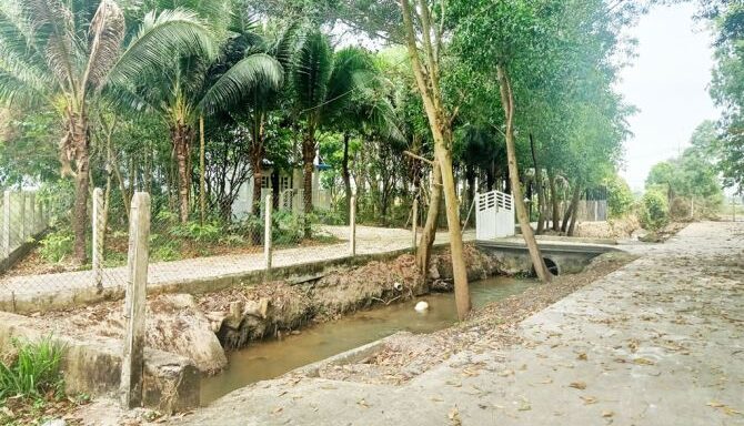 Bán đất nông nghiệp, đất vườn Xã Thái Mỹ – ảnh 4/5