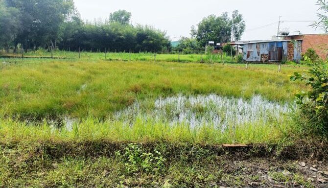 Bán đất thổ cư Xã An Nhơn Tây – ảnh 1/5