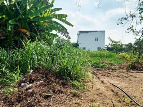 Bán nhà 1/ đường Bình Mỹ 1455m2 17×88 có 668m2 thổ cư