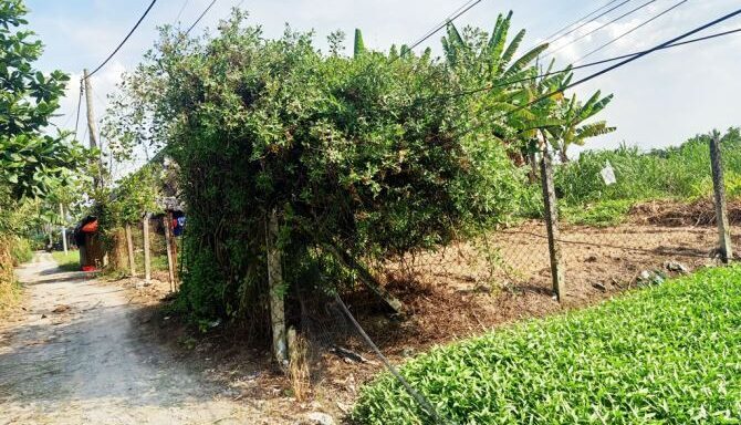 Bán nhà riêng Xã Bình Mỹ – ảnh 2/5