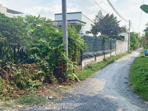 Bán nhà 2 mặt tiền 1/ đường Bình Mỹ, xã Bình Mỹ, Củ Chi, 744m2