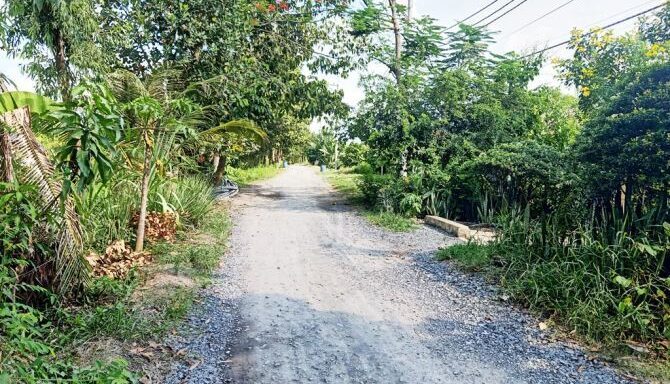 Bán nhà riêng Xã Bình Mỹ – ảnh 4/5