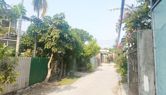 Bán đất thổ cư Xã Bình Mỹ – ảnh 4/6