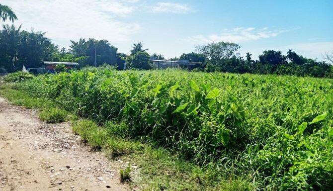 Bán đất thổ cư Xã Bình Mỹ – ảnh 2/6
