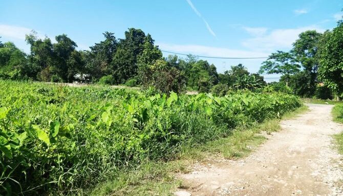 Bán đất thổ cư Xã Bình Mỹ – ảnh 4/6