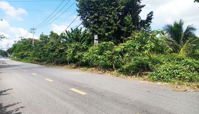 Bán đất thổ cư Xã Bình Mỹ – ảnh 3/5