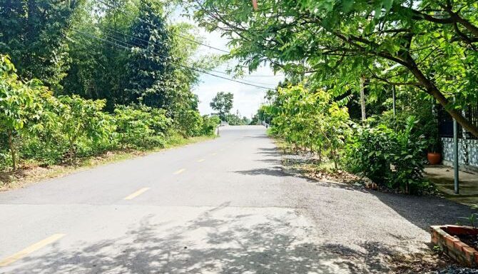 Bán đất thổ cư Xã Bình Mỹ – ảnh 4/5